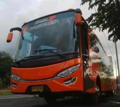 bus pariwisata